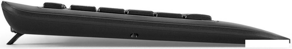 Клавиатура ExeGate Professional Standard LY-E5500M Color box