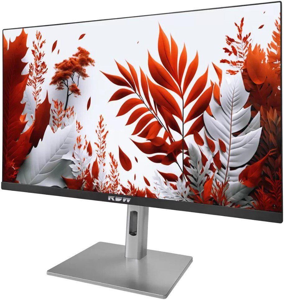 Монитор RDW Computers 2407K/F14В3120V2A1B