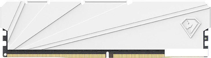 Оперативная память Netac Shadow S 8ГБ DDR4 2666 МГц NTSSD4P26SP-08W