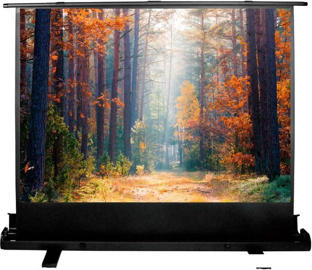 Проекционный экран CACTUS FloorExpert 90x160 CS-PSFLE-160X90