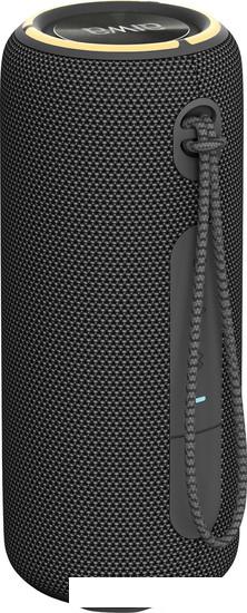 Беспроводная колонка Aiwa PAS-H300 (черный)