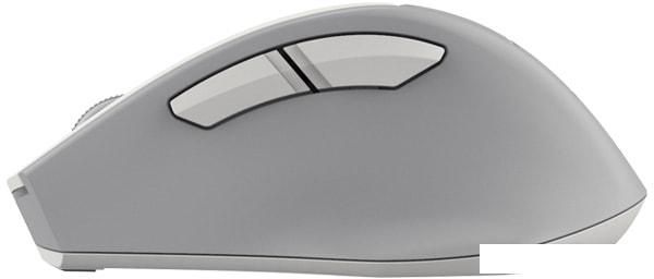 Мышь A4Tech Fstyler FG30S (серый/белый)