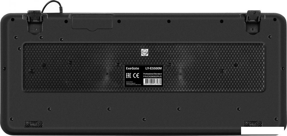 Клавиатура ExeGate Professional Standard LY-E5500M Color box