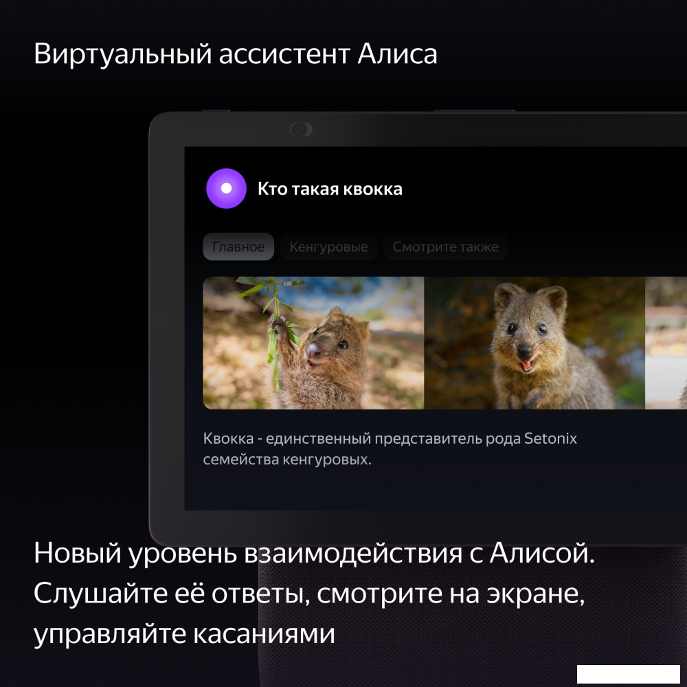 Колонка с умным дисплеем Яндекс Станция Дуо Макс (красный)