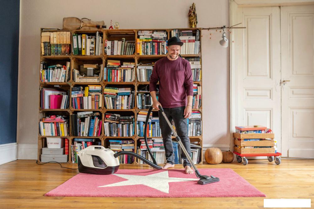 Пылесос Karcher DS 6 Plus 1.195-252.0
