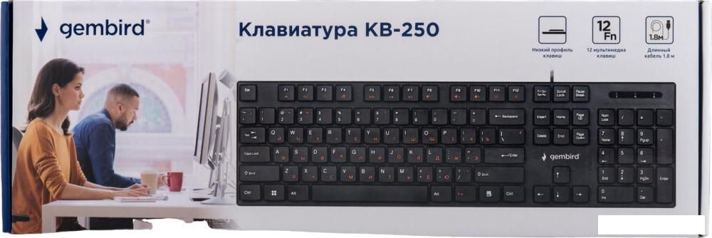 Клавиатура Gembird KB-250
