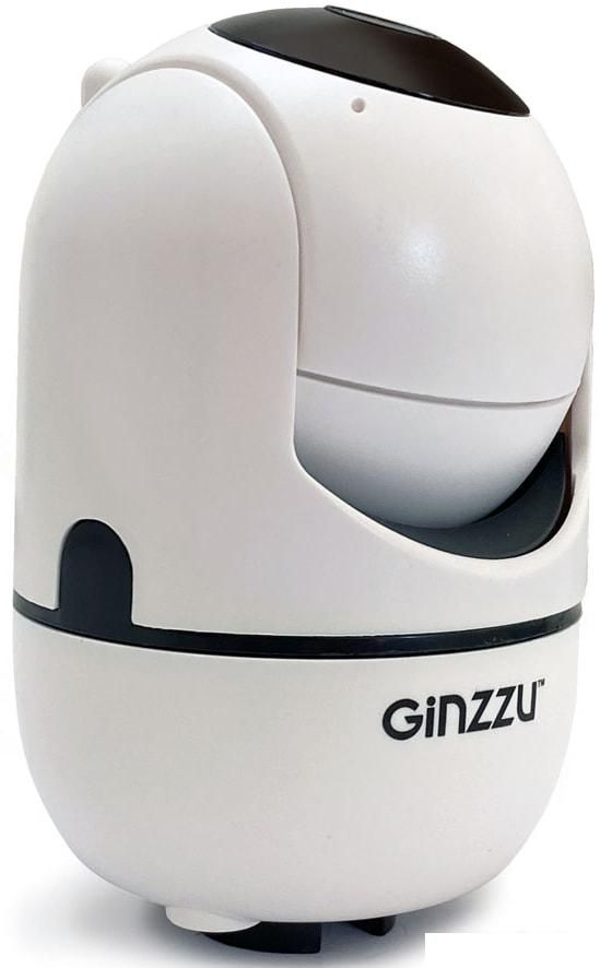 IP-камера Ginzzu HWD-2302A