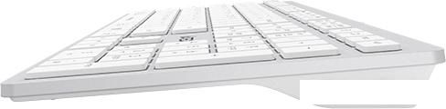 Клавиатура A4Tech Fstyler FX50 (белый)