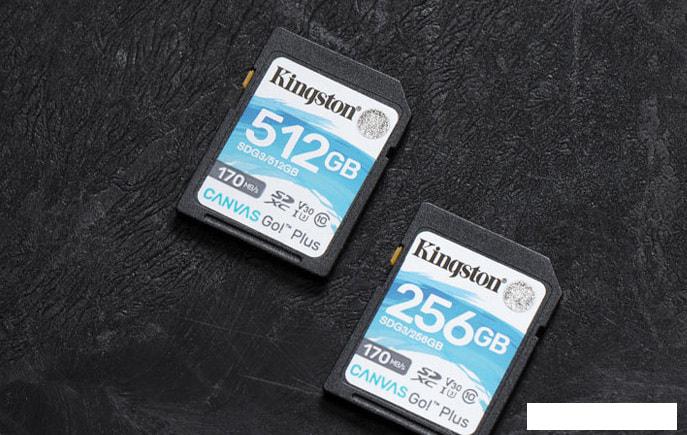 Карта памяти Kingston Canvas Go! Plus SDXC 256GB