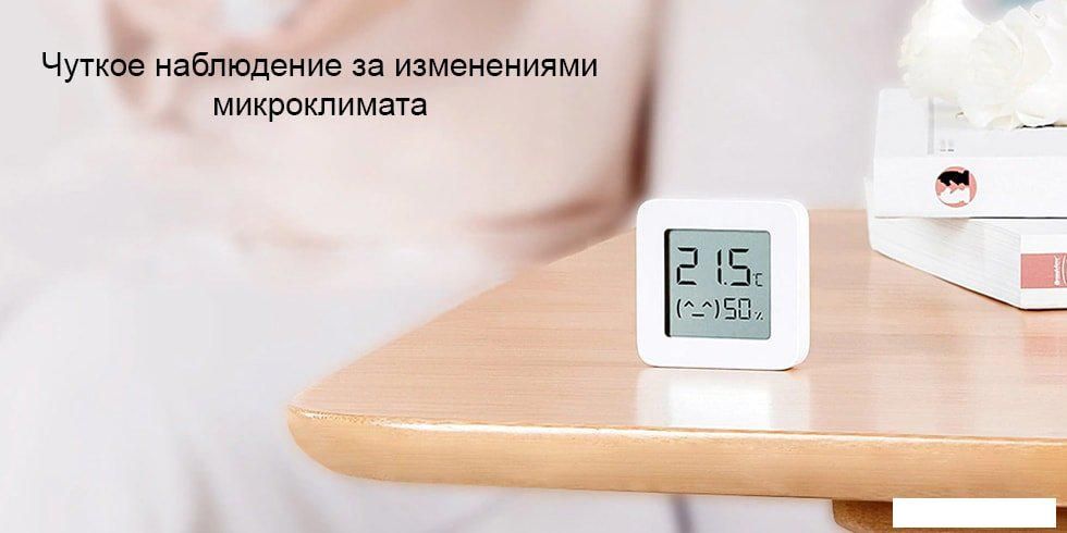 Термогигрометр Xiaomi Mi Temperature and Humidity Monitor 2 LYWSD03MMC (китайская версия)
