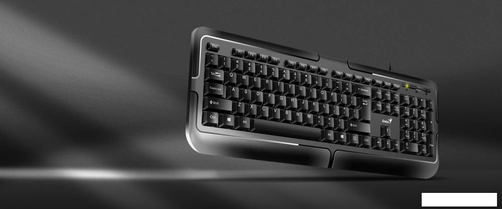 Клавиатура Genius KB-118