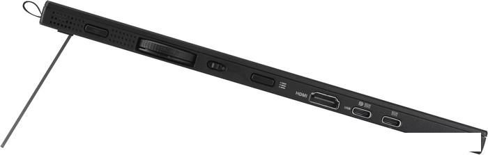Портативный монитор ASUS ProArt PA169CDV