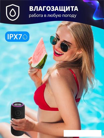 Беспроводная колонка Aiwa PAS-H300 (черный)