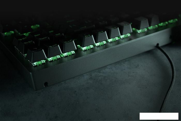 Клавиатура Razer BlackWidow V3 Tenkeyless Green Switch