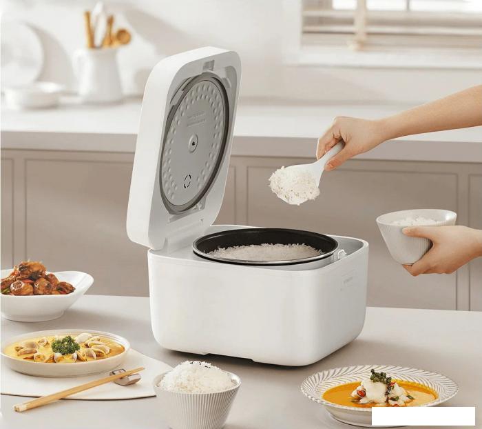 Рисоварка Xiaomi Multifunctional Rice Cooker 4L MFB090-1 (евровилка)