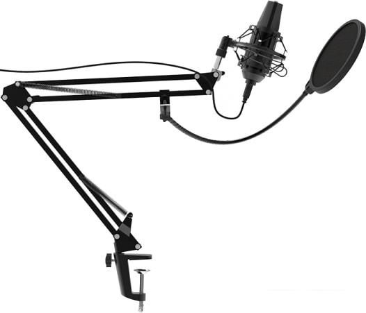 Проводной микрофон Ritmix RDM-180