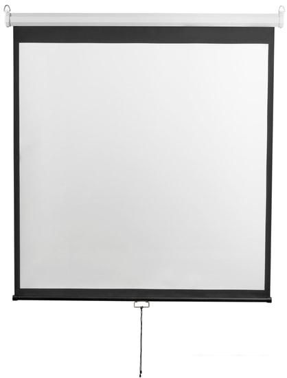 Проекционный экран Digis Optimal-D 248x189 DSOD-4304
