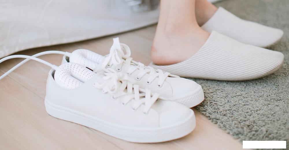 Сушилка для обуви Sothing Zero-Shoes Dryer DSHJ-S-1904 (белый)